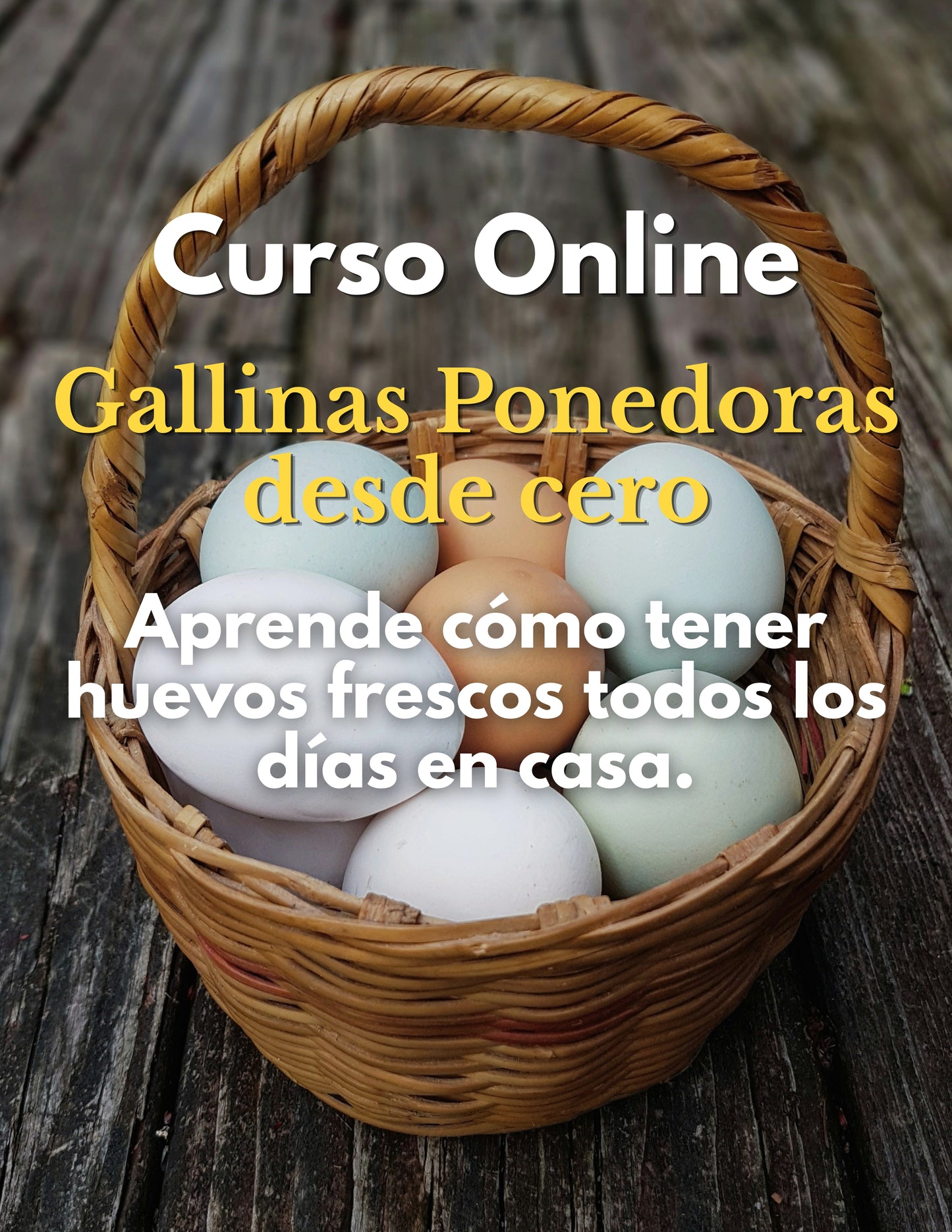 Curso Online Cómo criar gallinas ponedoras desde cero