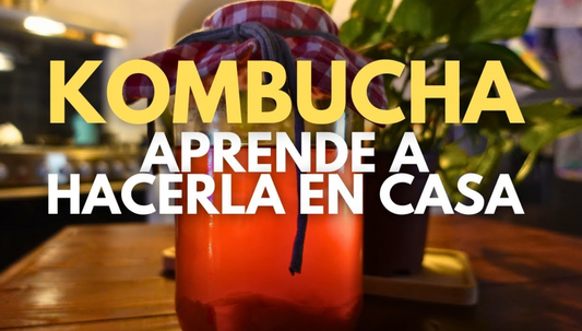 🍹 Kombucha: una bebida viva que puedes preparar en casa