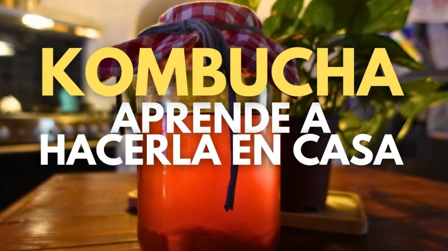 Receta Kombucha Casera