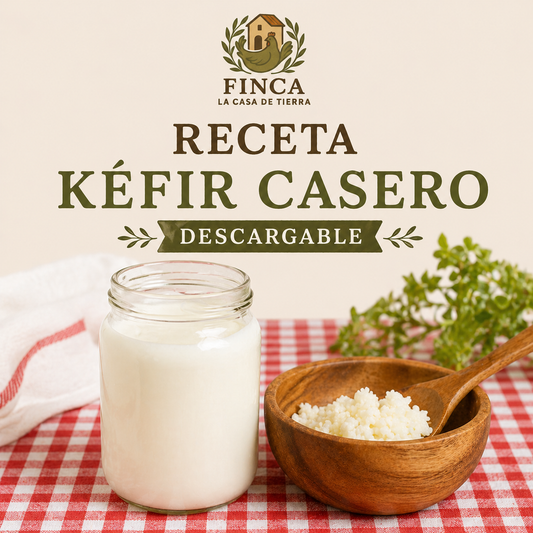 Receta Kéfir Casero