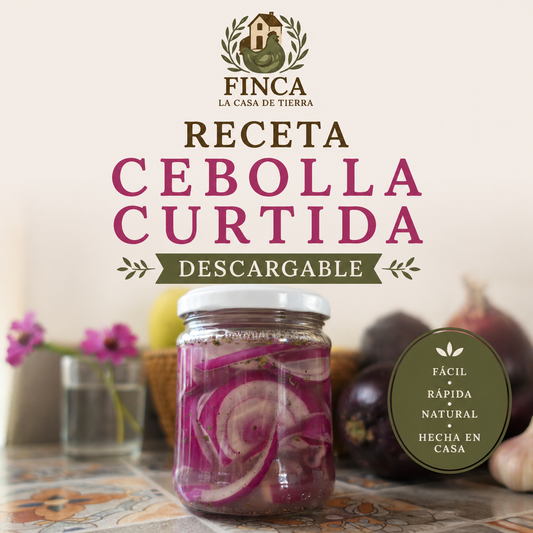 Receta Cebolla Curtida