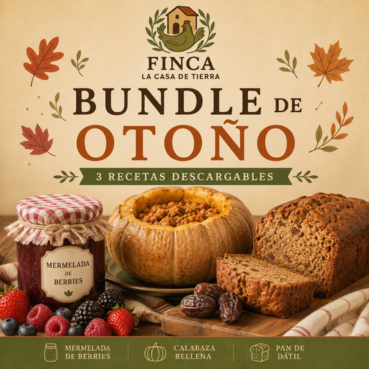 Bundle Otoño 🍂🍁