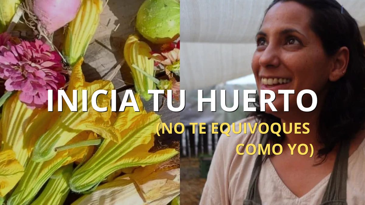 Cargar video: 